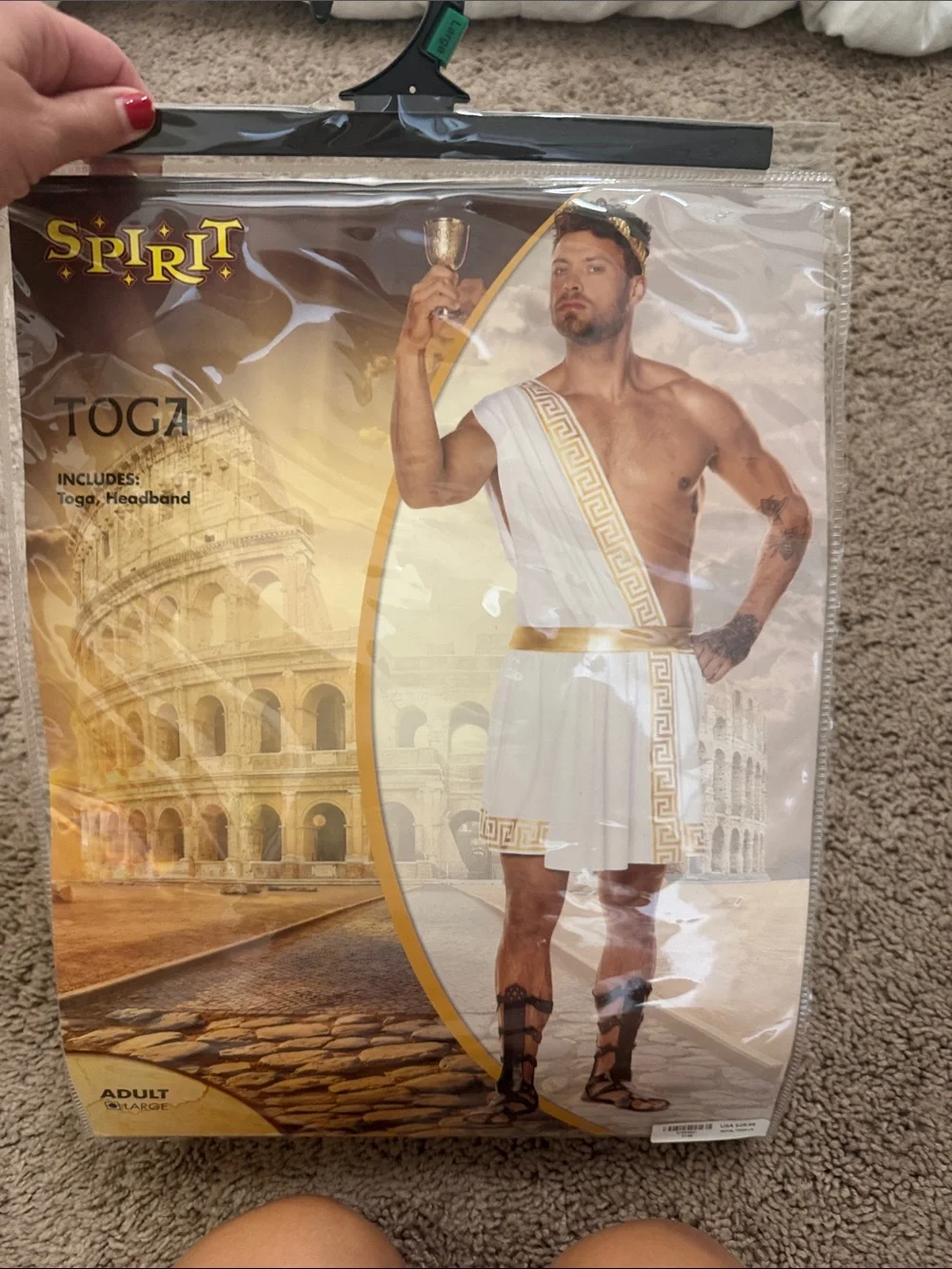 Spirit White and Gold Greek-Style Toga Costume - Picture 1 of 3